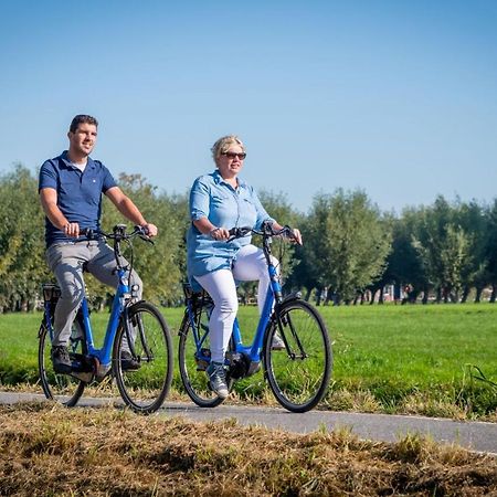 Familie Resort Molenwaard Ottoland Eksteriør bilde