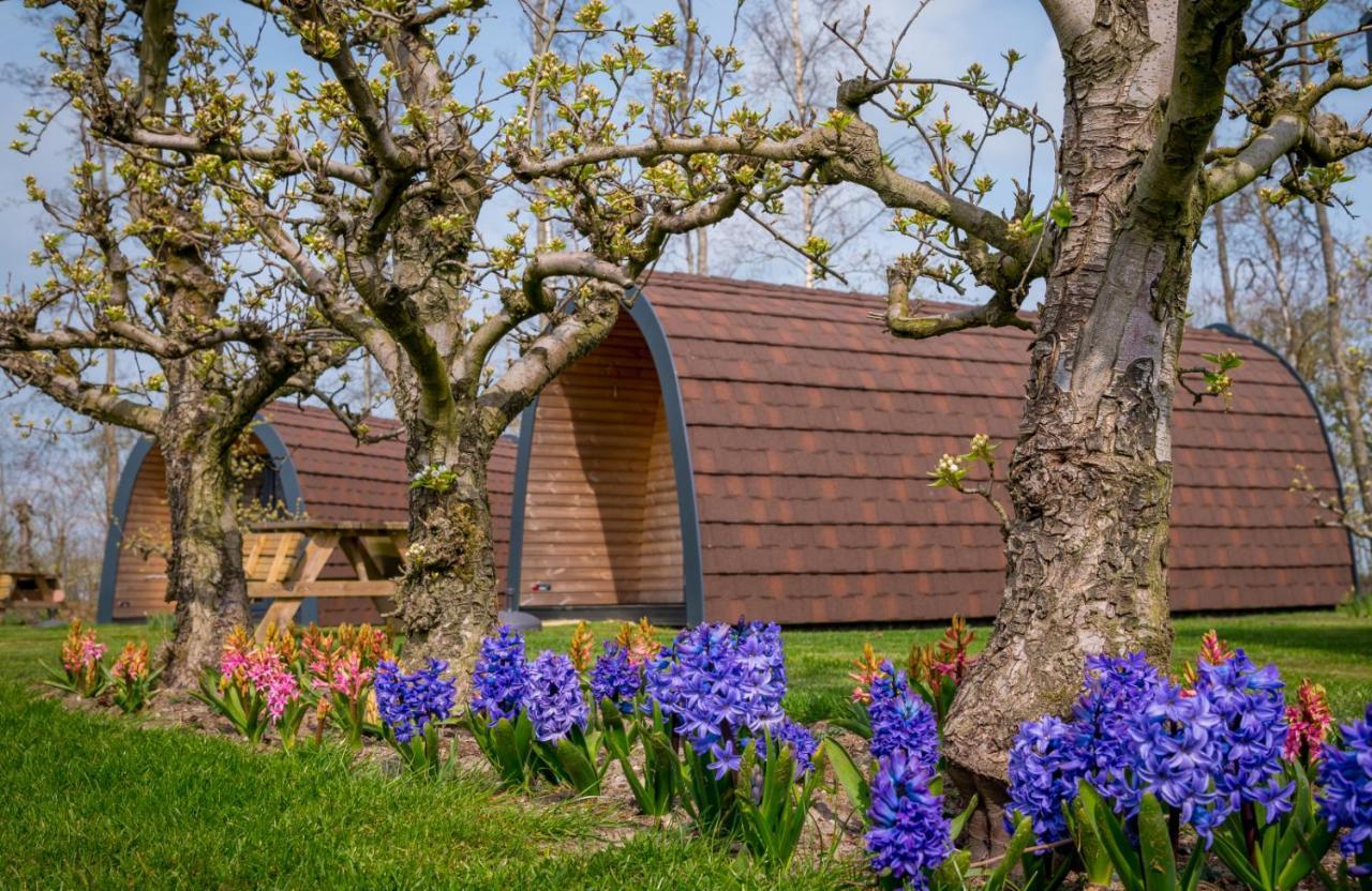 Familie Resort Molenwaard Ottoland Eksteriør bilde