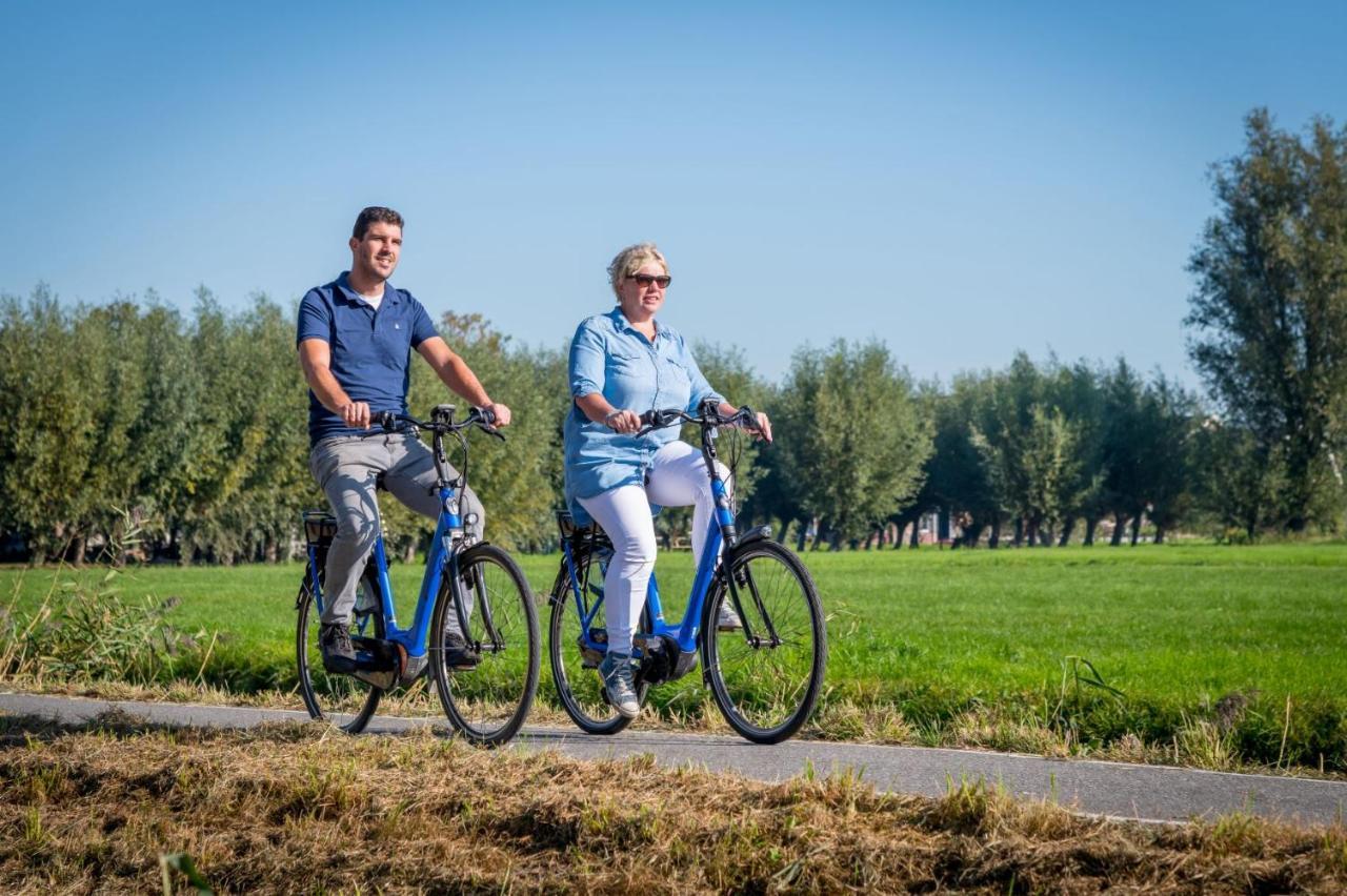 Familie Resort Molenwaard Ottoland Eksteriør bilde